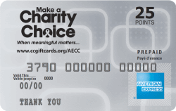 AMEX Reward and Visa Gift Cards