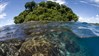 Reef