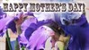 Mothers Day - Iris