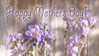 Mothers Day - Iris Wall