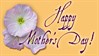 Mothers Day - Flower