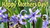 Mothers Day - Garden