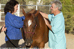 Equine Assisted Family Support reduces stress and empowers caregivers and family members