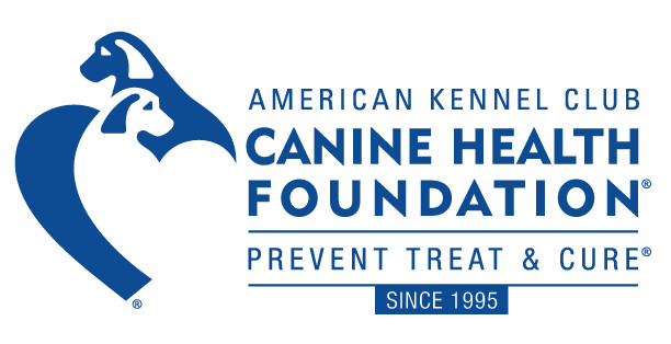 What services does the American Kennel Club offer?